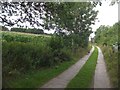 Footpath to Bere Alston station