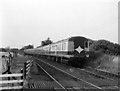 Train at Drumsough - 1983