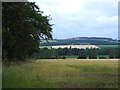 Barley field at Findowrie