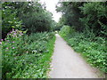 Downs Link Path near Henfield