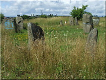 NS5966 : Sighthill Stone Circle by Thomas Nugent