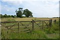 Gate on Henhill Moor