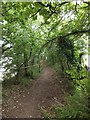 Footpath by the river Tavy