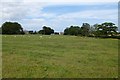 NU1625 : Farmland in Ellingham by DS Pugh