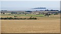 Barley, near Frithfield