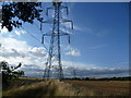 Pylons seen from Roper