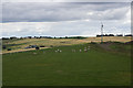 Newly constructed wind turbine at Gormack