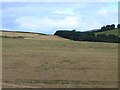 Fields near Kilgarie Farm