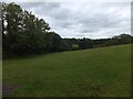 Hedge and field opposite Fairway