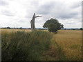 Footpath towards Leachfield Grange