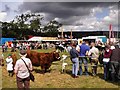 Danby Show 2013