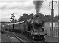 Steam locomotive 461 leaving Whitehead - 1990