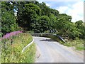 Bridge over the Alyth Burn