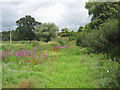 Site of Shettle Pond