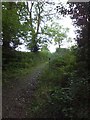 Bridleway from Ashridge Wood to North Tawton