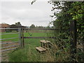 Grazing paddock with stile