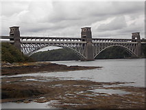 SH5471 : Llanfairpwllgwyngyll: Britannia Bridge from the shore by Chris Downer