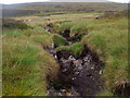 NN8585 : Small peat 'canyon' by River Feshie near Aviemore by ian shiell