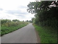 Sandhutton Lane towards Toad Hall