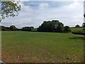 Field and woodland near East Newton