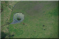 Horses in a field at Balmyre, near Rait, from the air