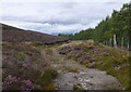 NH4637 : Moorland track, by Meall Mòr by Craig Wallace