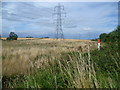 Field alongside the railway