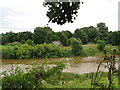 Severn viewpoint 3 - Shrawardine, Shropshire