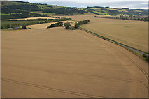 NO2427 : Fields at Westown from the air by Mike Pennington