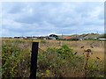 Line of houses behind the sand dunes