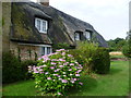 Thatched cottage in Manor Lane