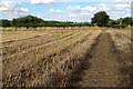 Footpath towards Houghton Conquest