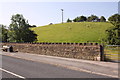 Stone wall on SW side of Shortbank Road