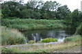 Pond near the Erewash Canal