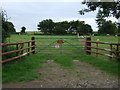 Field entrance near Wycomb