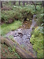 NO4795 : Looking upstream a major feeder drain for the Trout Loch by Stanley Howe