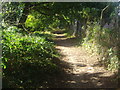 Path from Stokes Field to Sugden Road