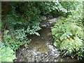 The Afon Carrog