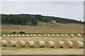 NH9621 : Fields at Tullochgorum by Mike Pennington