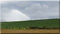 NO5645 : Irrigation, Hill of Boath by Richard Webb