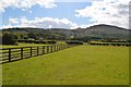 Grazing land under Carlton Bank