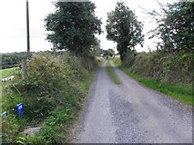 H1914 : Road at Killyran by Kenneth  Allen