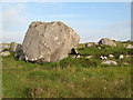L9140 : Erratic boulder by Jonathan Wilkins