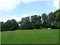 An August afternoon in Moseley Park (8)