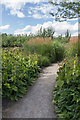 Walled Garden, Wimpole Hall, Cambridgeshire