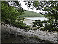 The Cresswell River estuary