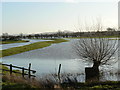 ST4342 : Winter Floods at Westhay Bridge by Edwin Graham