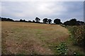ST0712 : Mid Devon : Grassy Field by Lewis Clarke