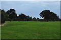ST0713 : Mid Devon : Grassy Field by Lewis Clarke