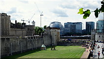 TQ3380 : Tower of London by David Hallam-Jones